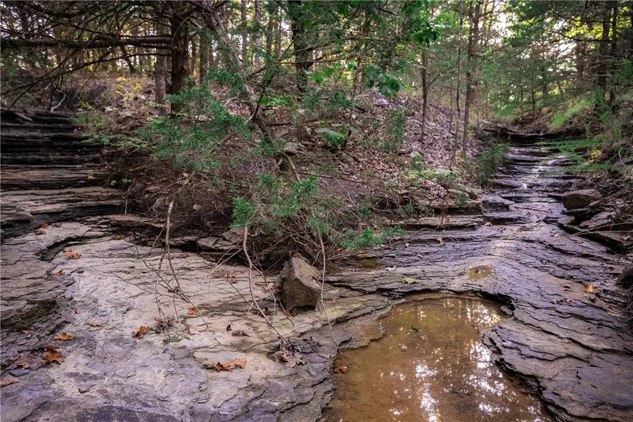 14630 Wallin Mountain Road, West Fork, AR 72774 - Image #2