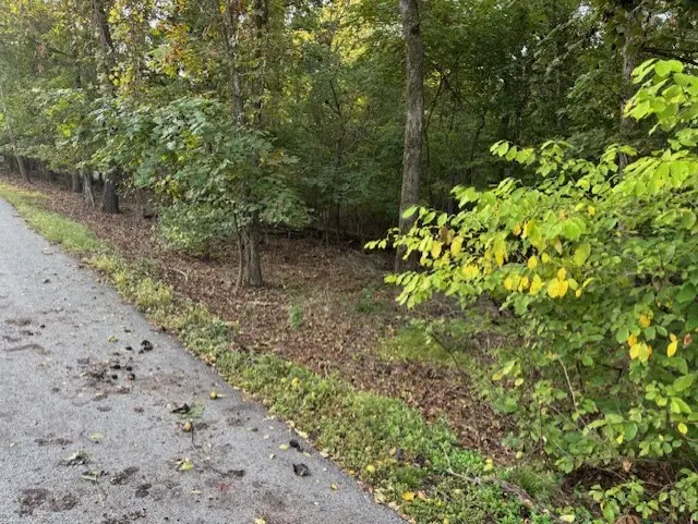 Lots 37 & 38 Lambeth Drive, Bella Vista, AR 72714 - Image #2