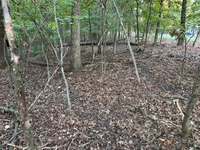 Lots 37 & 38 Lambeth Drive, Bella Vista, AR 72714 - Image #3