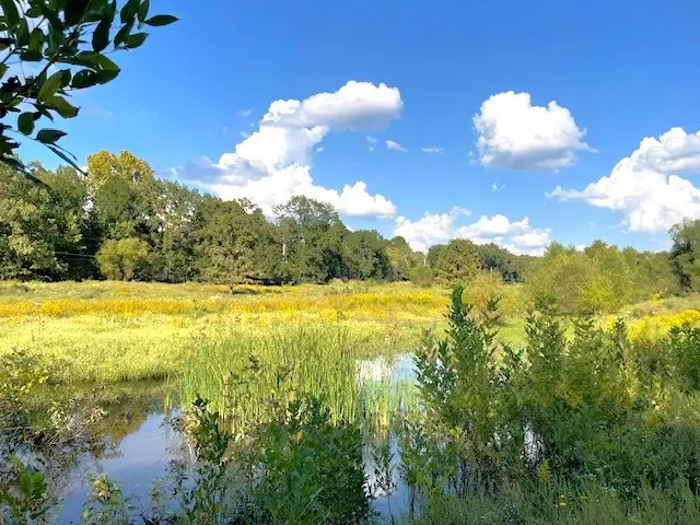 1250 Elder Branch Road, Hackett, AR 72937 - Image #3