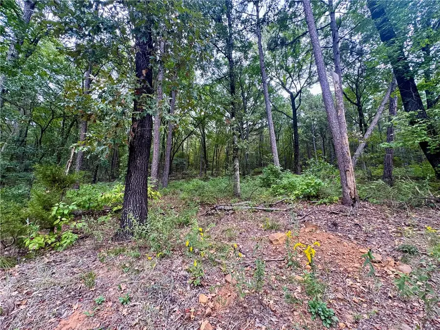 7 Block H Highland Court, Dardanelle, AR 72834 - Image #2