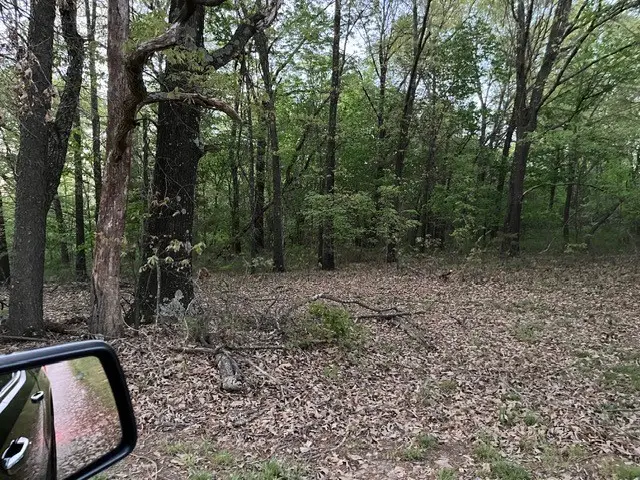 13668 Tally Gate Road, Springdale, AR 72762 - Image #2