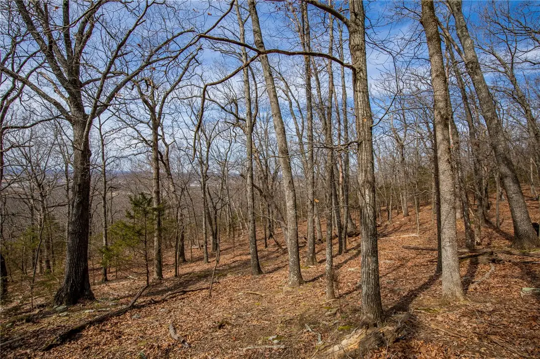 Dinsmore Trail, Fayetteville, AR 72701 - Image #1
