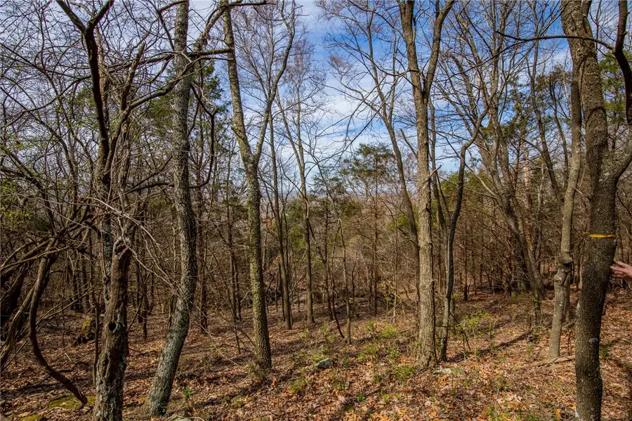 Dinsmore Trail, Fayetteville, AR 72701 - Image #3