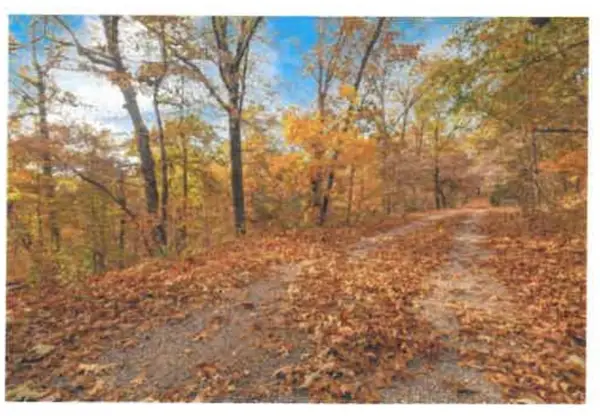 Lot 10 Block 5 Halford Circle, Bella Vista, AR 72715
