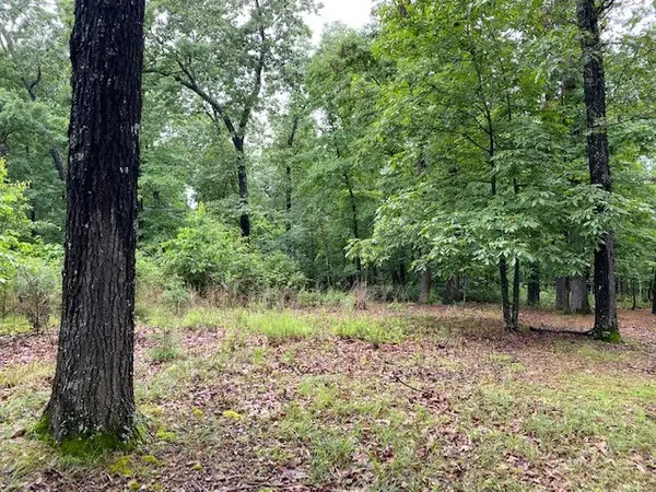 Lot 5 Lakeview Drive, Bull Shoals, AR 72619