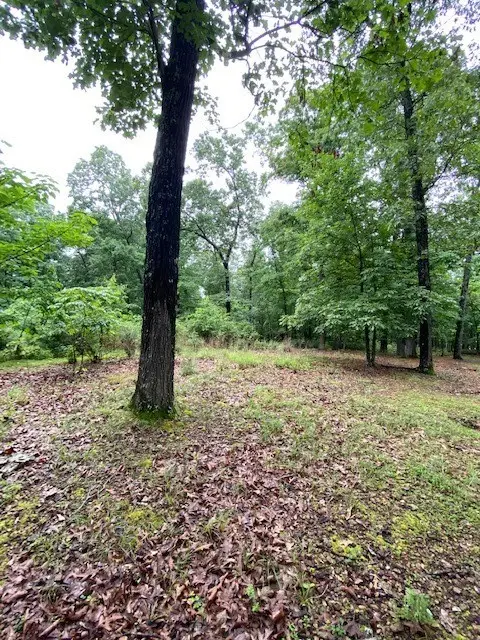 Lot 5 Lakeview Drive, Bull Shoals, AR 72619 - Image #2
