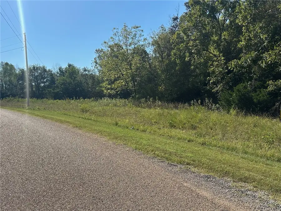 Lot 24 Cougar Drive, Mountain Home, AR 72653 - #3