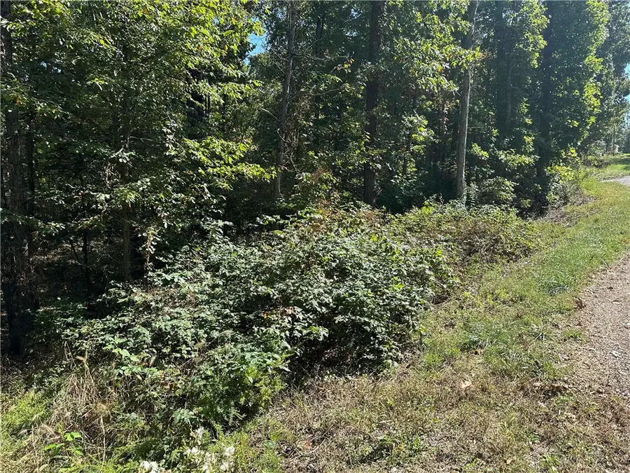 TBD Whitstable Drive, Bella Vista, AR 72714 - Image #3