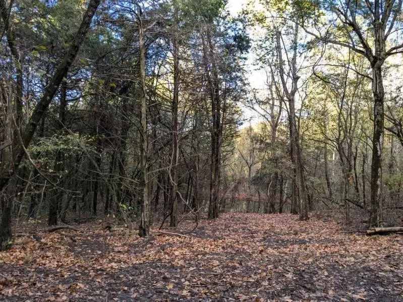 Pine Tree, Prairie Grove Township, AR 72758 - Image #2