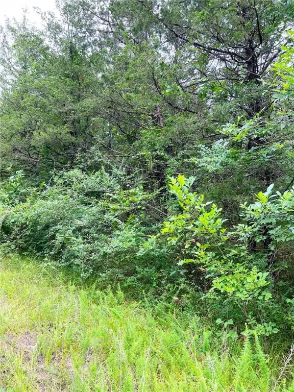 TBD Cedar Lane, Diamond City, AR 72644 - Image #2