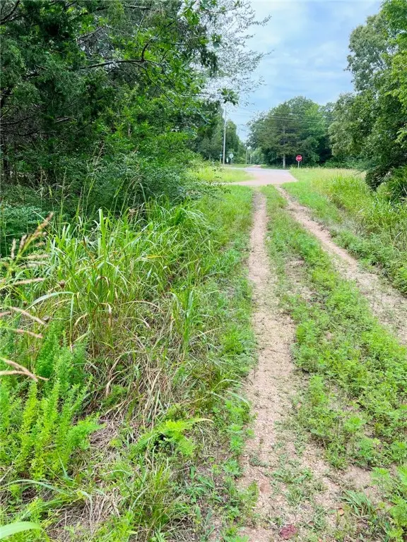 TBD Cedar Lane, Diamond City, AR 72644 - Image #3