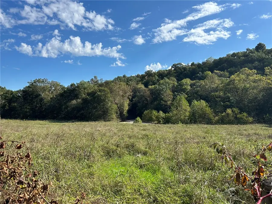 12818 State Highway 90, Washburn, MO 65772 - Image #3