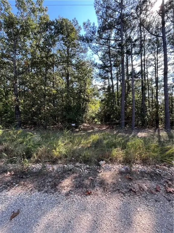 TBD Cr 240, Eureka Springs, AR 72631 - Image #3