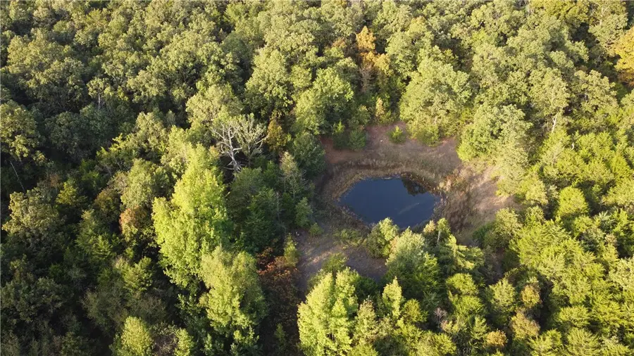 10 Acres Cr 9204, Alpena, AR 72611 - Image #2
