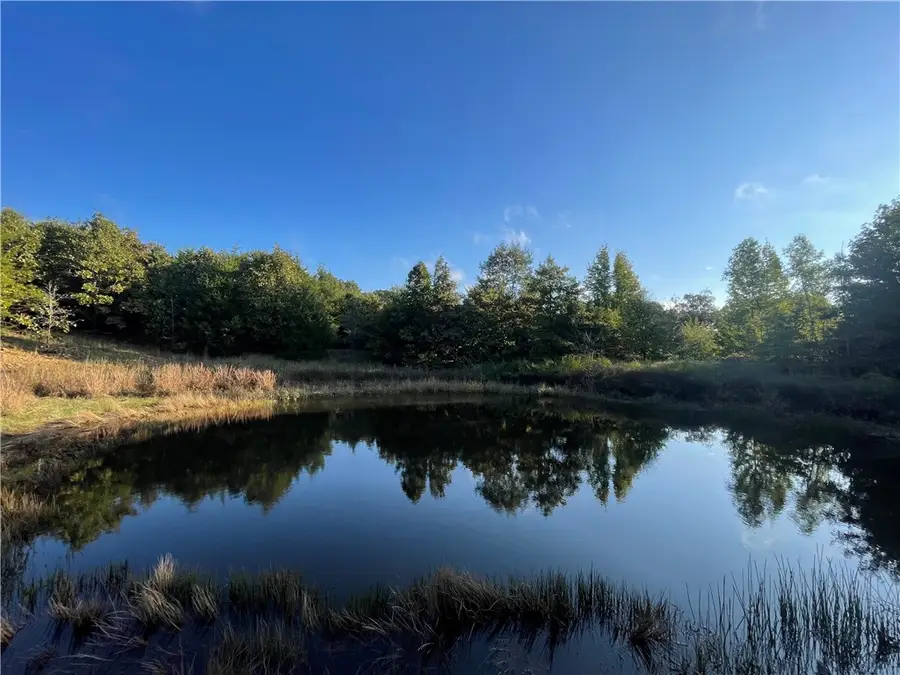 10 Acres Cr 9204, Alpena, AR 72611 - Image #3