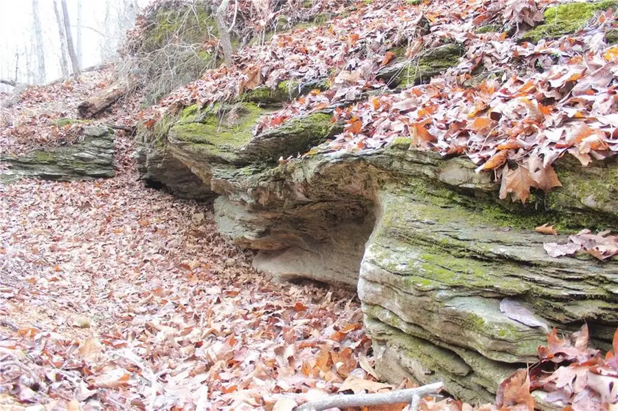 Brooks Road, Rogers, AR 72756 - Image #3