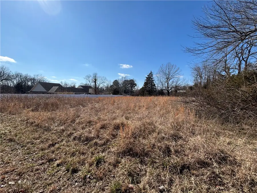 Carolyn Street, Bull Shoals, AR 72619 - Image #2