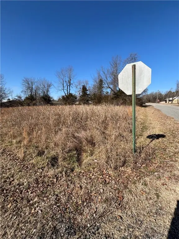 Carolyn Street, Bull Shoals, AR 72619 - Image #3