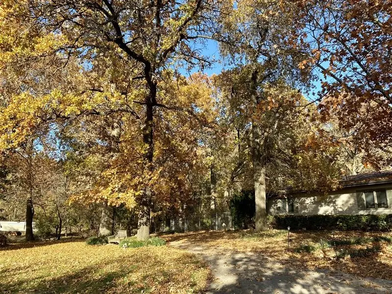 483 Coffee Lane, Green Forest, AR 72638 - Image #1