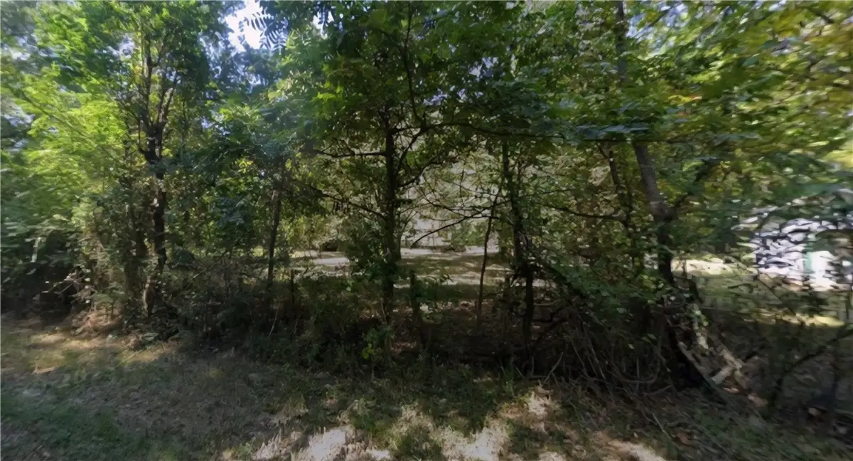 Lot 1-2 S Oak Street, Fordyce, AR 71742 - Image #1