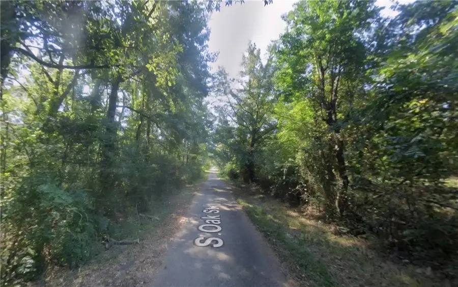 Lot 1-2 S Oak Street, Fordyce, AR 71742 - Image #3