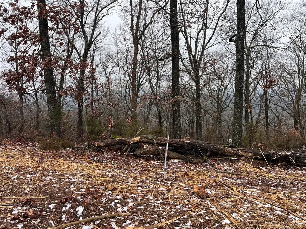 31 Skyview Lane, Holiday Island, AR 72631 - Image #1