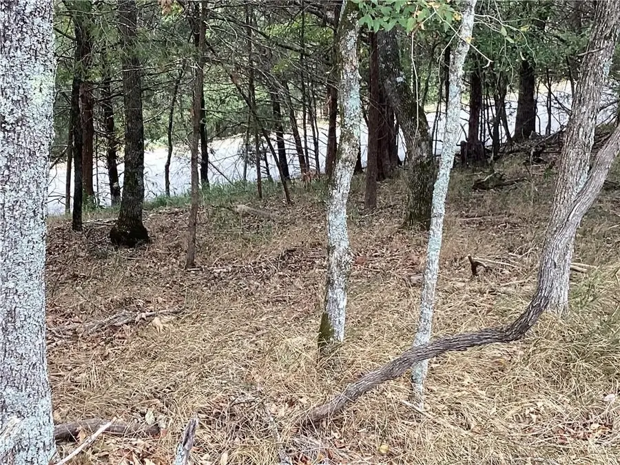 LOT 93 Oak Leaf Circle, Garfield, AR 72732 - Image #3