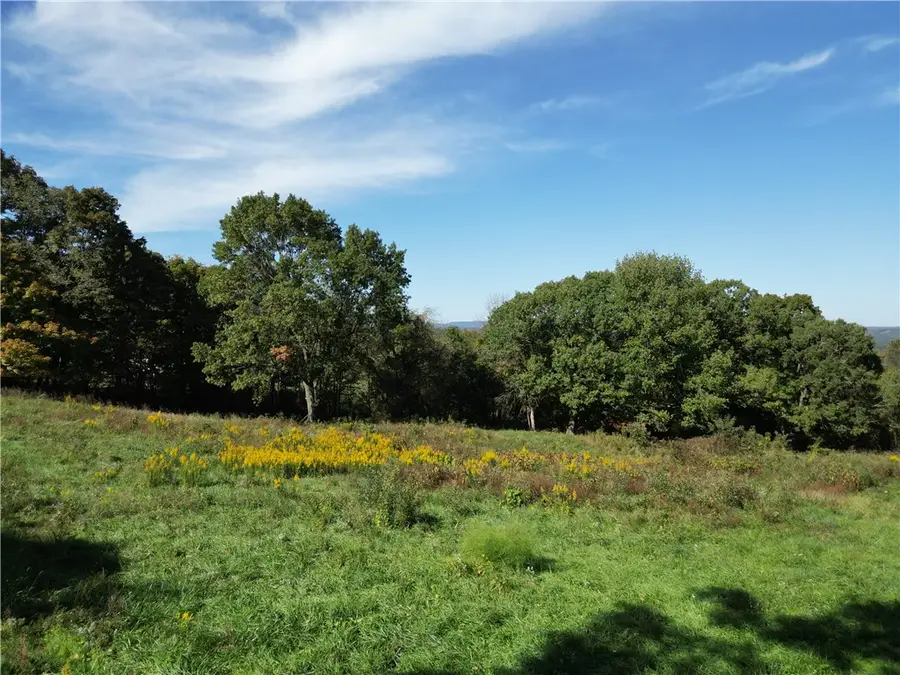 TBD Nc 6065, Jasper, AR 72641 - Image #2