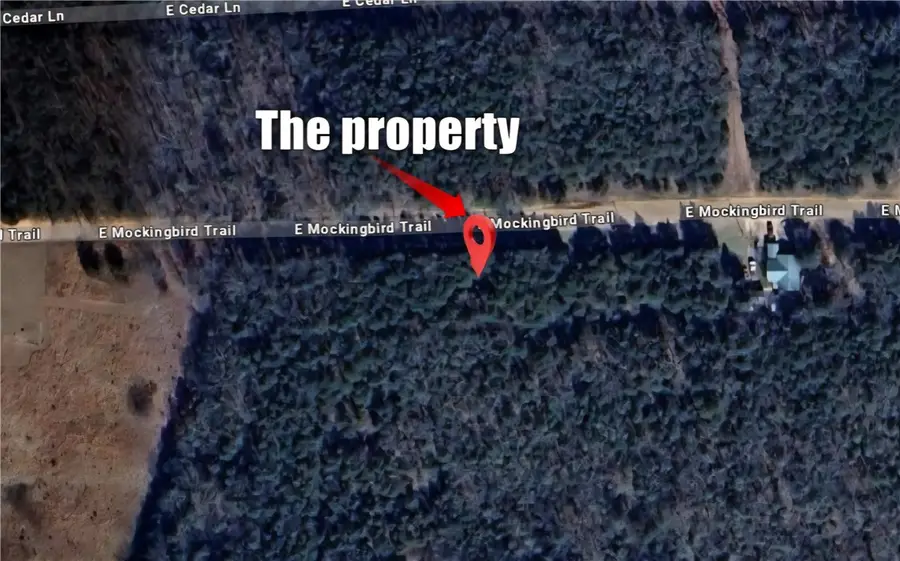 Lot 39 E Mockingbird Trail, Lead Hill, AR 72644 - #3