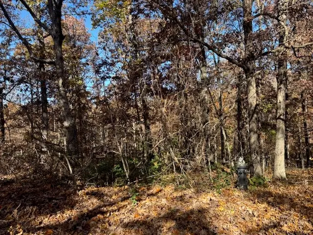 Lot 2 Aldershot Lane, Bella Vista, AR 72714 - Image #2