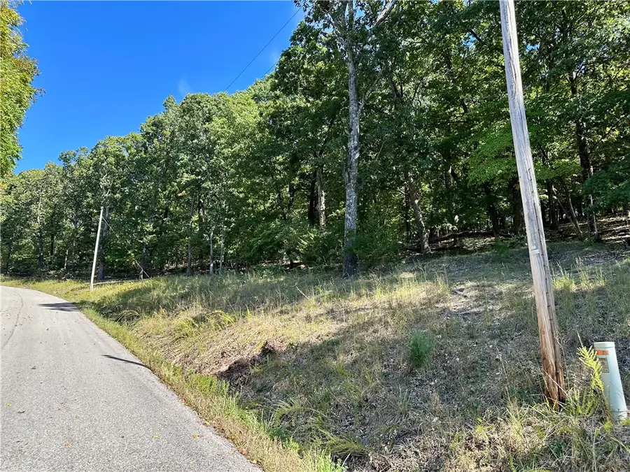 Lot 6 & 7 Block 7 Arapahoe Drive, Holiday Island, AR 72631 - Image #2