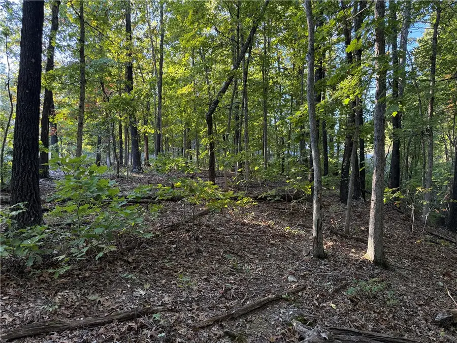 30 Spennymoor Drive, Bella Vista, AR 72714 - Image #2