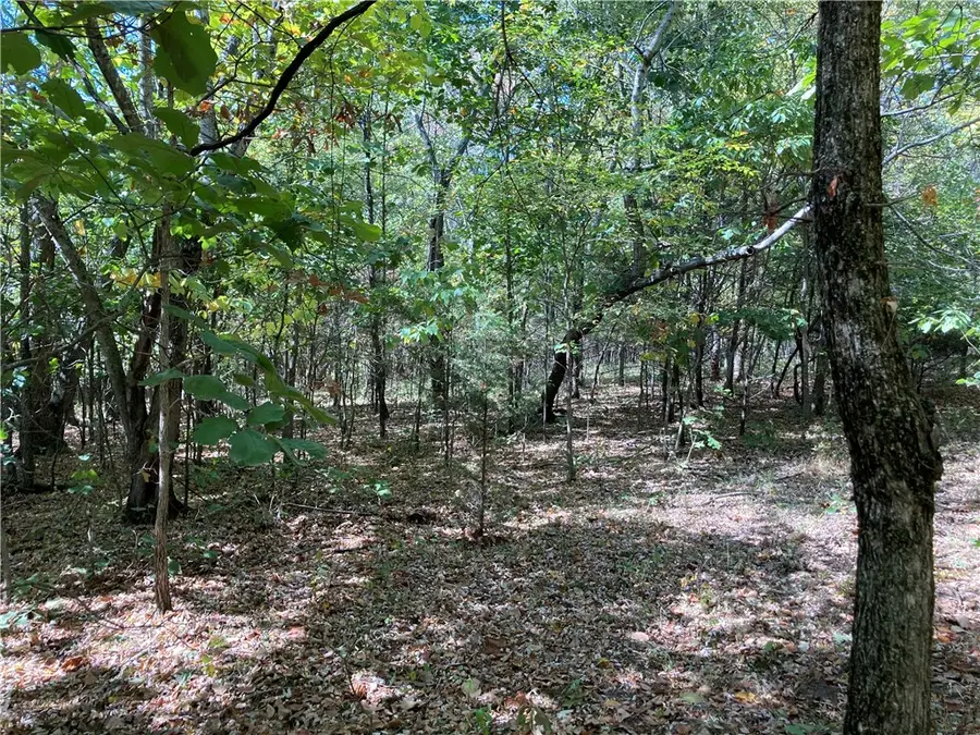 14464 Fruitwood Road, Gravette, AR 72736 - Image #2