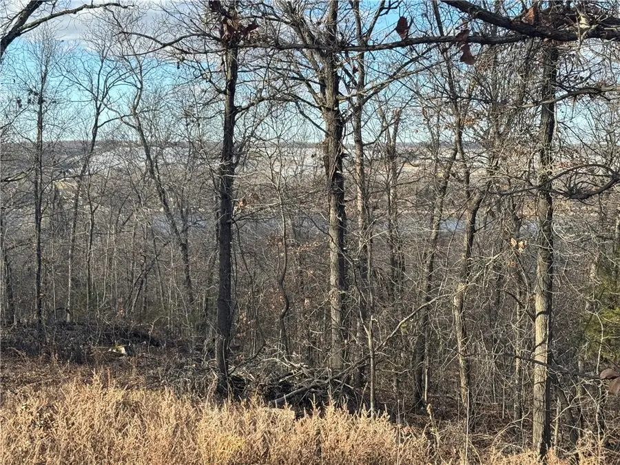 7 W 867 Road, Cookson, OK 74451 - #2