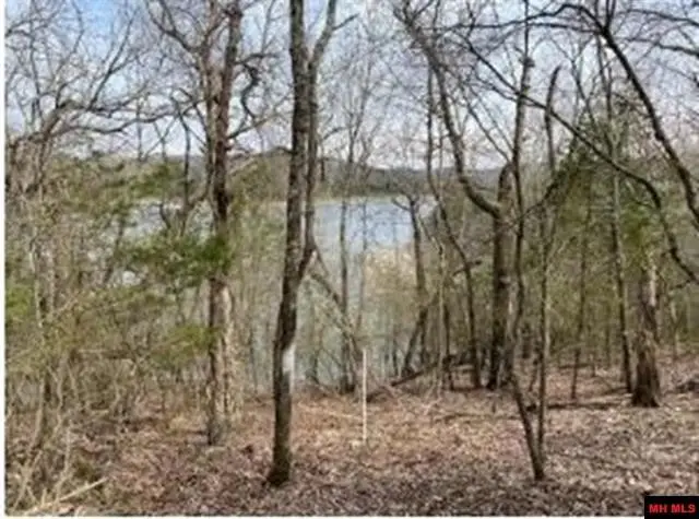 Mc 8012, Yellville, AR 72687 - Image #2