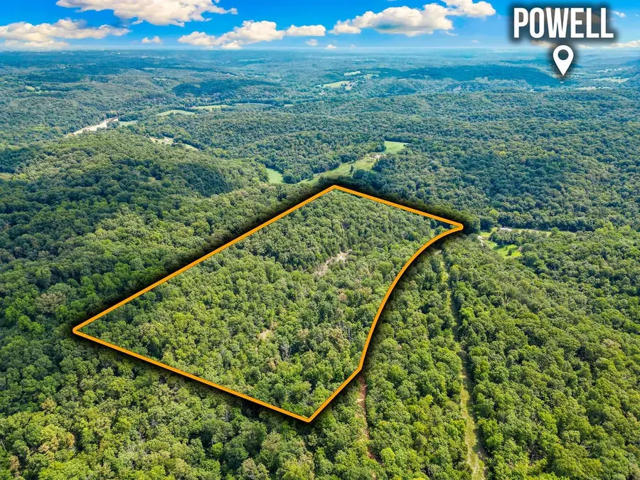 1106 Boone Hollow Road, Powell, MO 65730 - Image #2