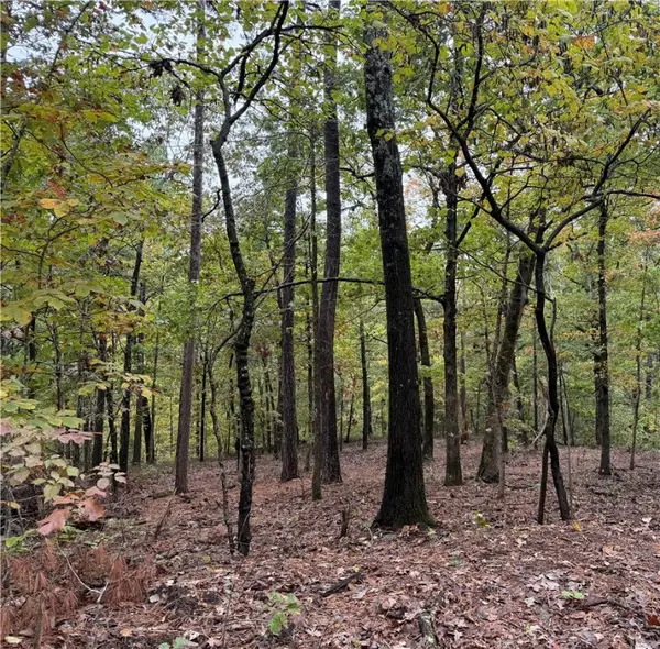 Potter Lane, Bella Vista, AR 72715