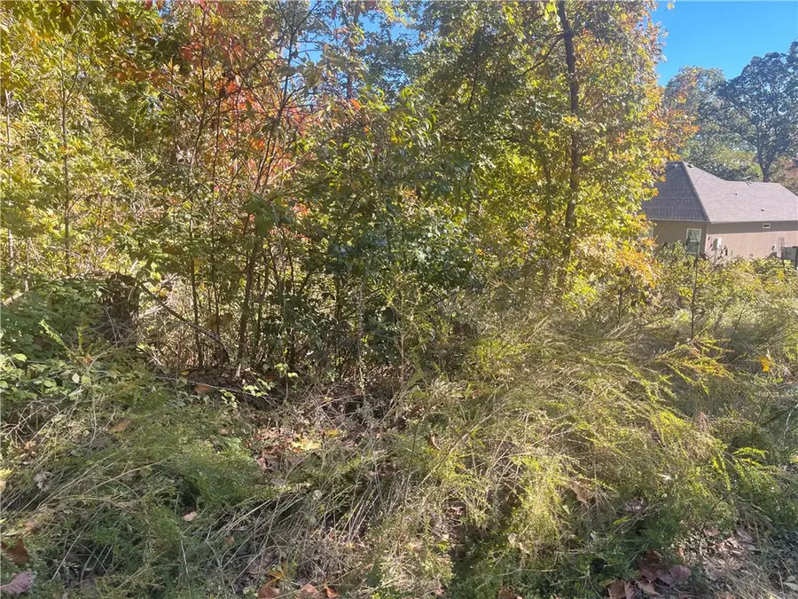 Lot 19 Weedon Lane, Bella Vista, AR 72714 - Image #3