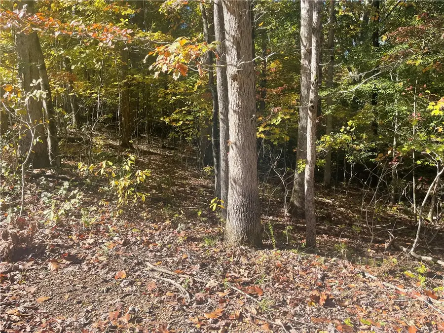 Lot 8 Oxenholme Lane, Bella Vista, AR 72714 - Image #3