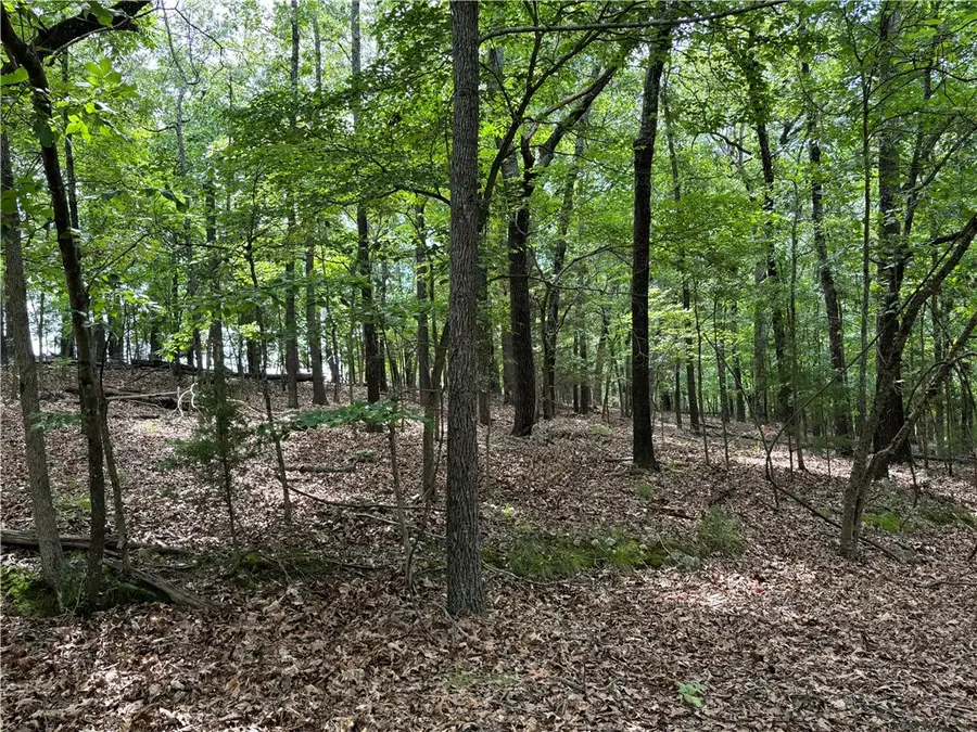 County Road 276, Lakeview, AR 72642 - Image #2