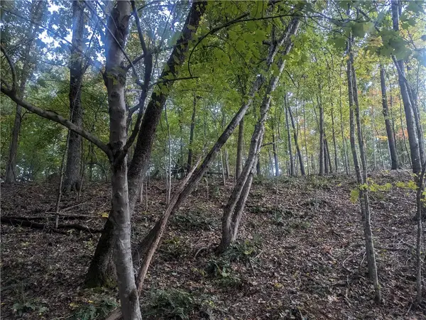 Selkirk Circle, Bella Vista, AR 72715