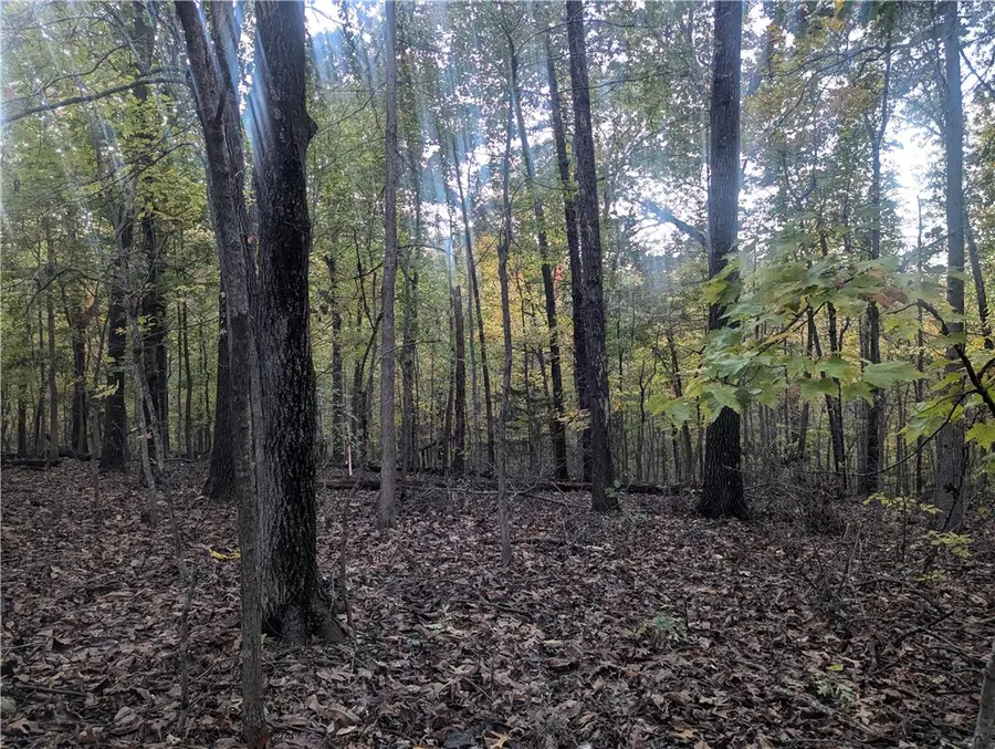 Selkirk Circle, Bella Vista, AR 72715 - Image #2