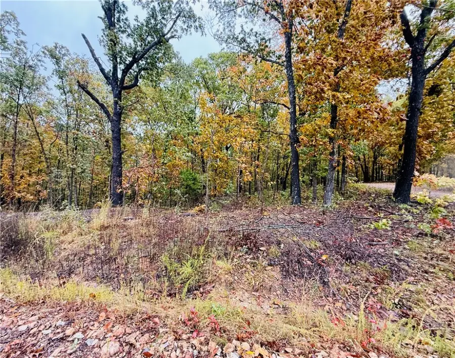 Runcorn Lane, Bella Vista, AR 72714 - #2