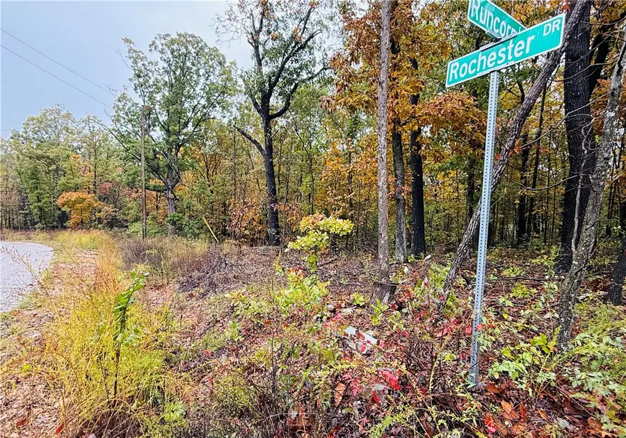 Runcorn Lane, Bella Vista, AR 72714 - #3