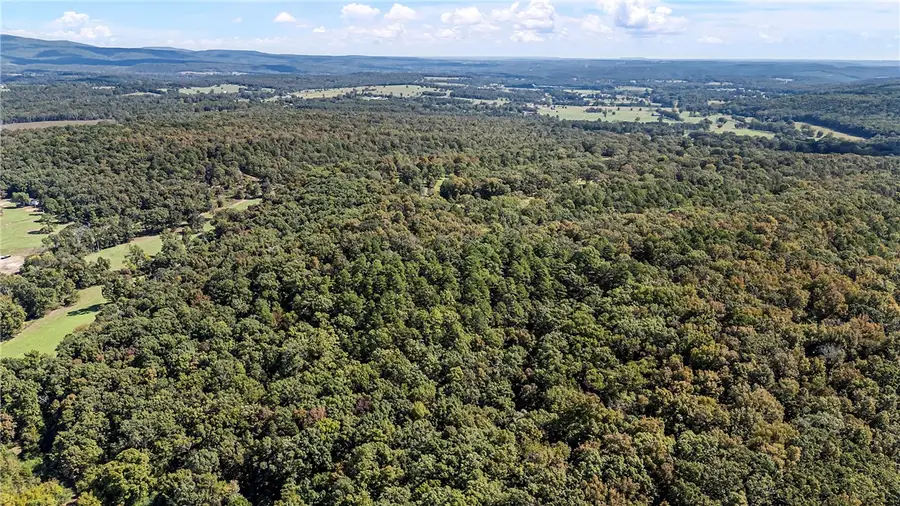 TRACTS 2 & 3 - 13610 N Sr 105, Hector, AR 72843 - Image #3