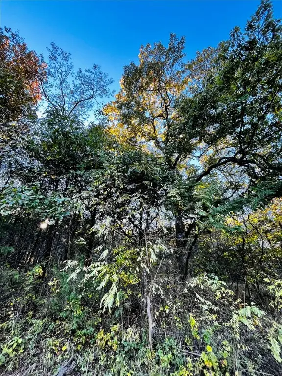 Eagle Drive #6, Holiday Island, AR 72631 - Image #2