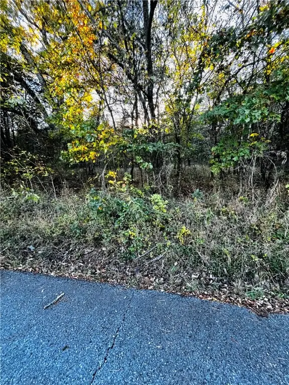 Eagle Drive #6, Holiday Island, AR 72631 - Image #3