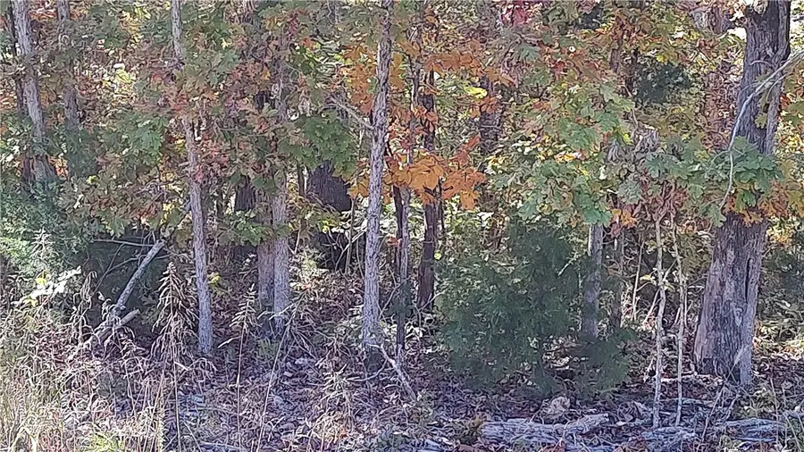 Donington Lane, Bella Vista, AR 72714 - Image #3