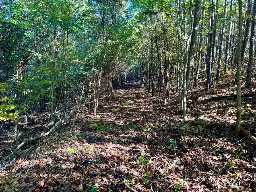 TBD Lancaster Road, Alma, AR 72921 - Image #2